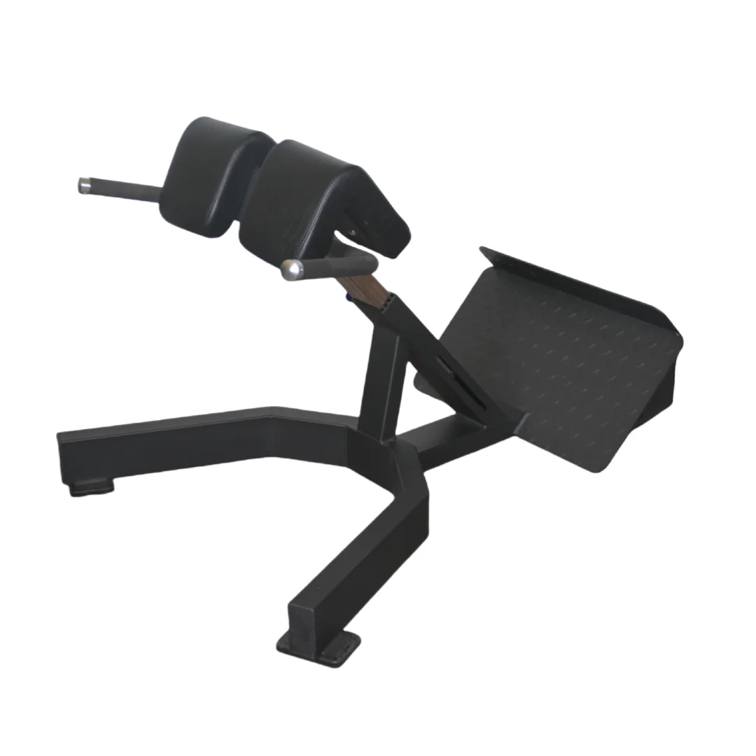 Home Gym Price - Römischer Stuhl zum Rückenstrecker zum Fabrikpreis,
